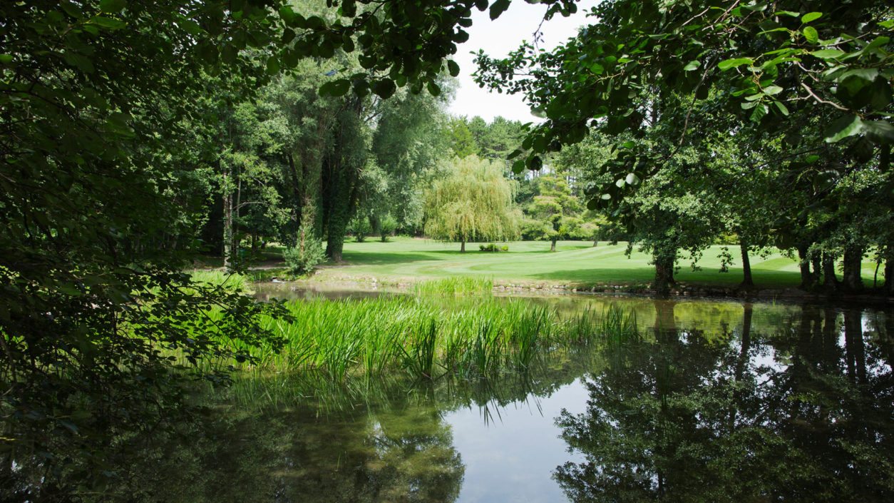 verdure parc château de Bonmont