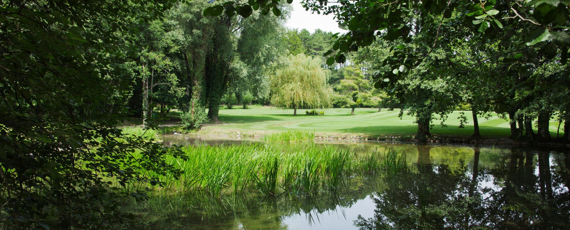 verdure parc château de Bonmont