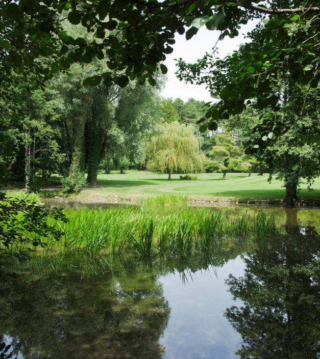 verdure parc château de Bonmont