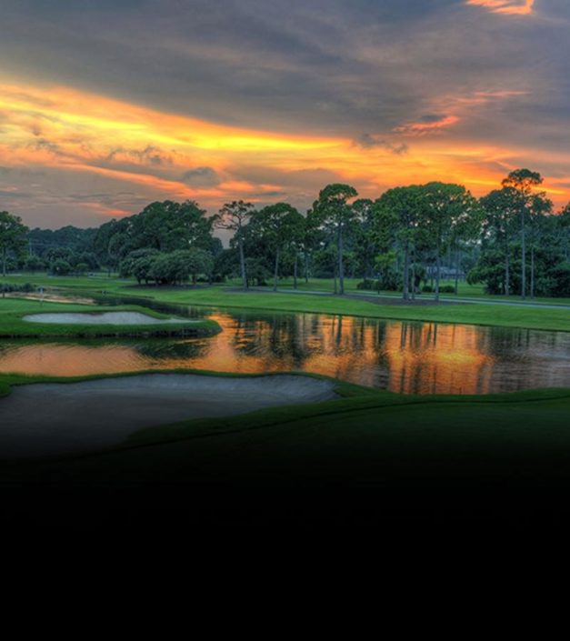 Paysage plantation bay Bonmont USA