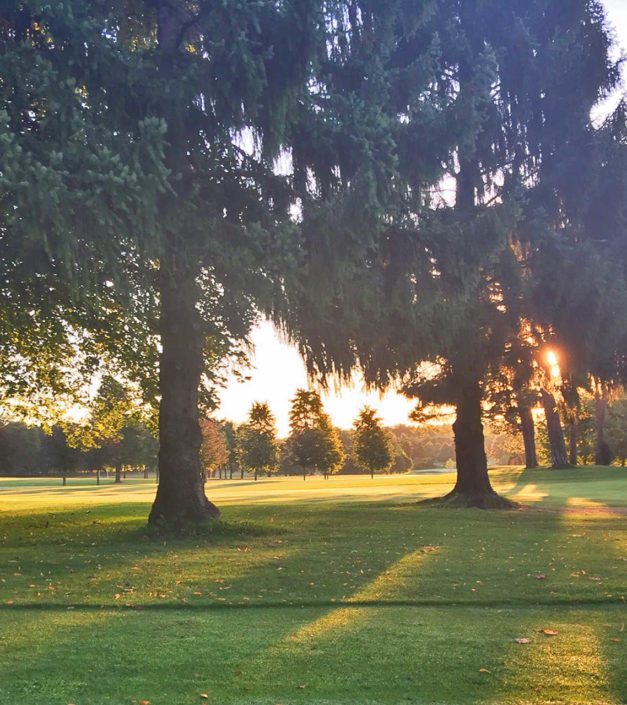 parc arbres domaine Bonmont