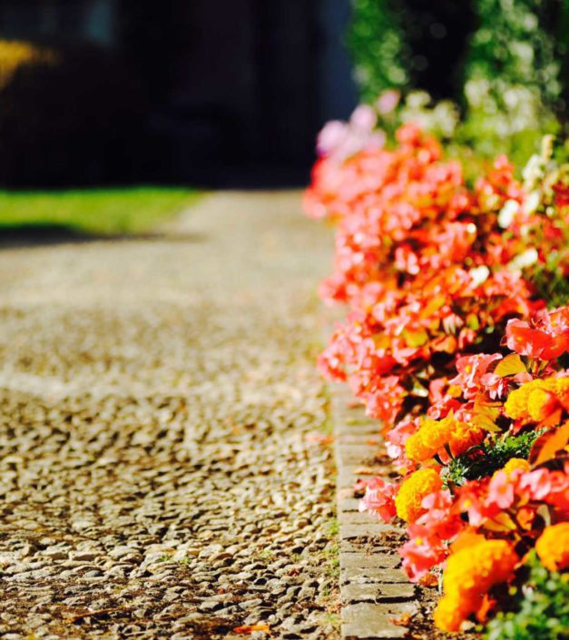 allée de fleurs jardin château de Bonmont
