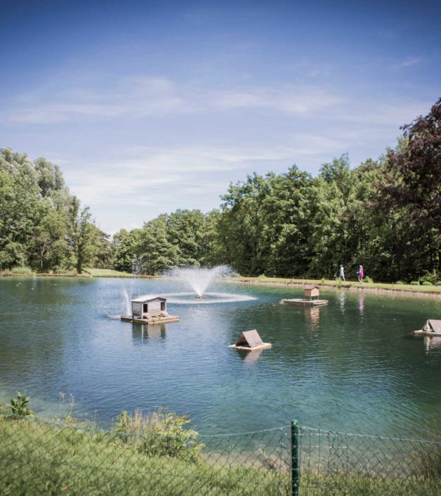 etang domaine Golf & Country Club de Bonmont