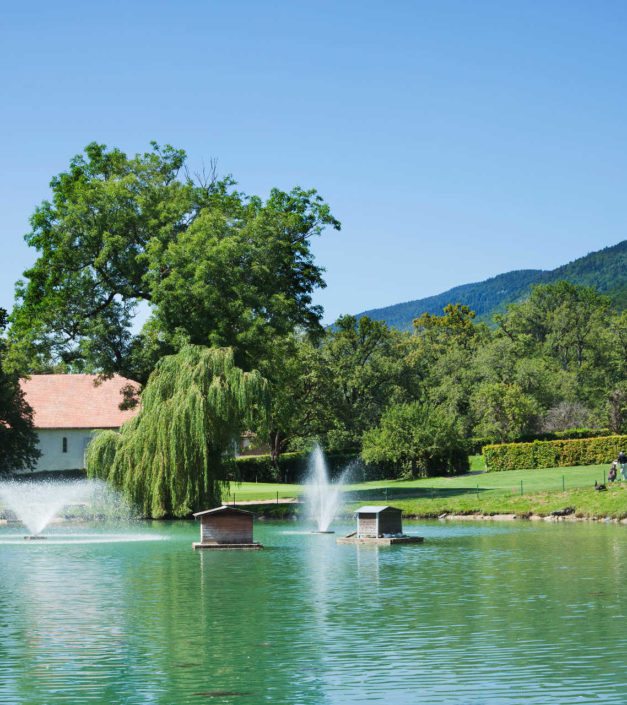 Eau parc domaine Bonmont